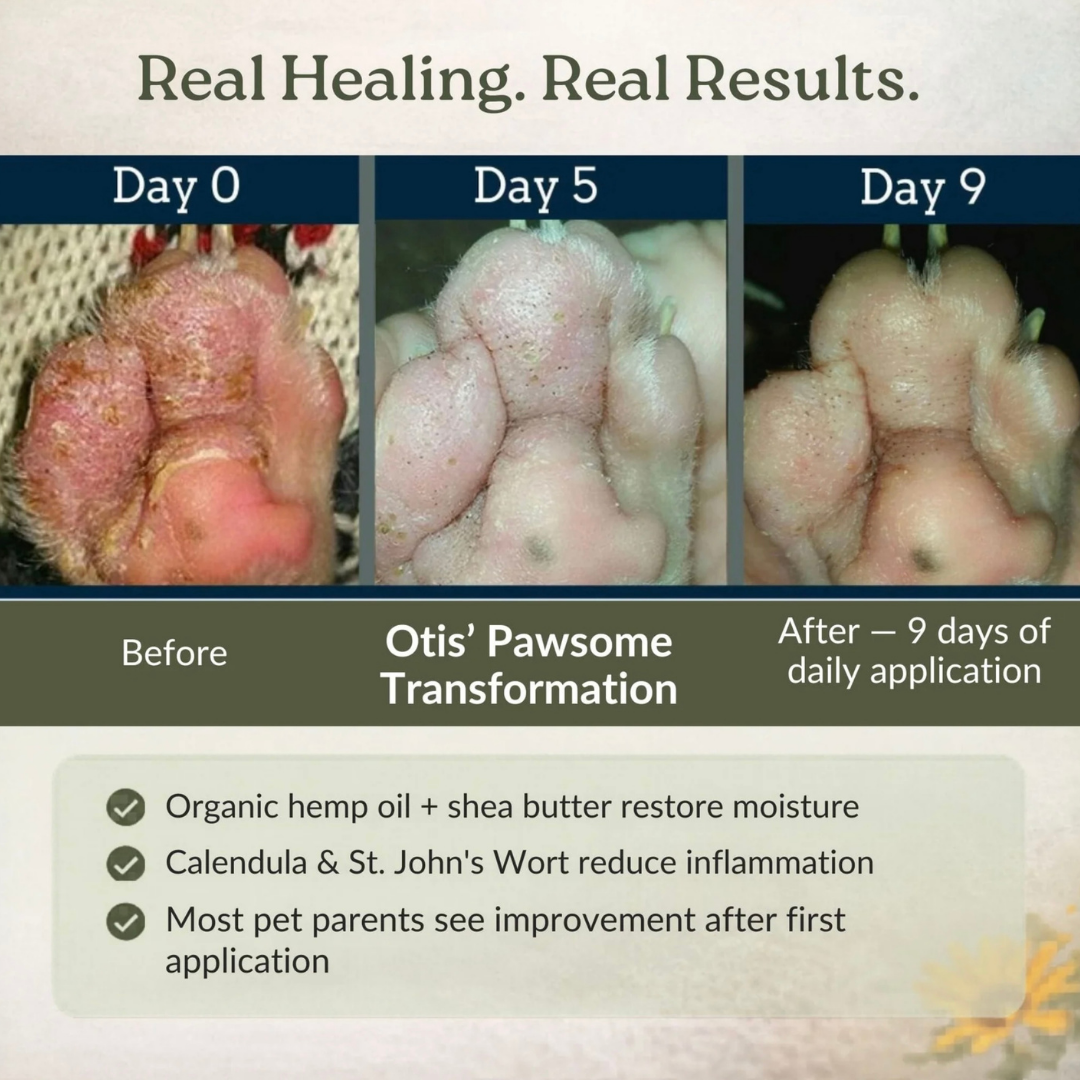 4-Legger Organic Healing Balm | Nose & Paw Pads