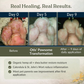 4-Legger Organic Healing Balm | Nose & Paw Pads
