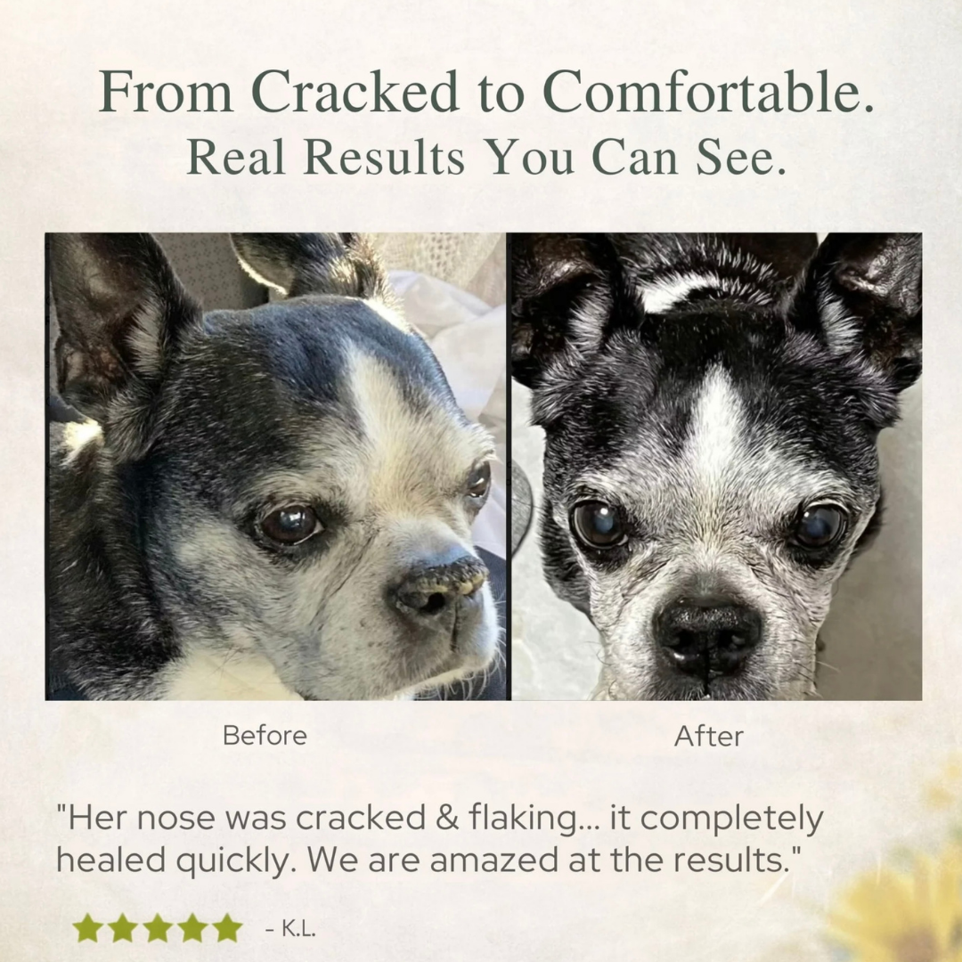4-Legger Organic Healing Balm | Nose & Paw Pads