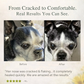 4-Legger Organic Healing Balm | Nose & Paw Pads