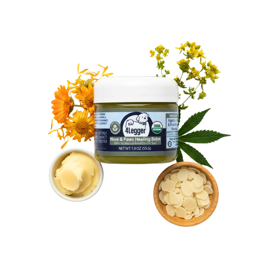 Organic Healing Balm | Nose + Paw Pads