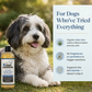 Organic Unscented Hypoallergenic Shampoo