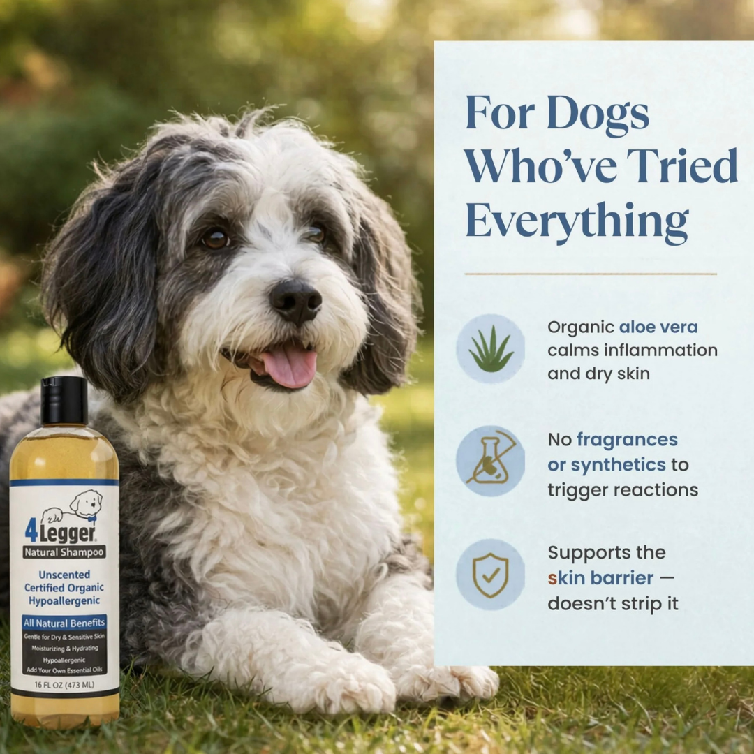 4-Legger Organic Hypoallergenic Shampoo | Unscented