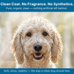 Organic Unscented Hypoallergenic Shampoo
