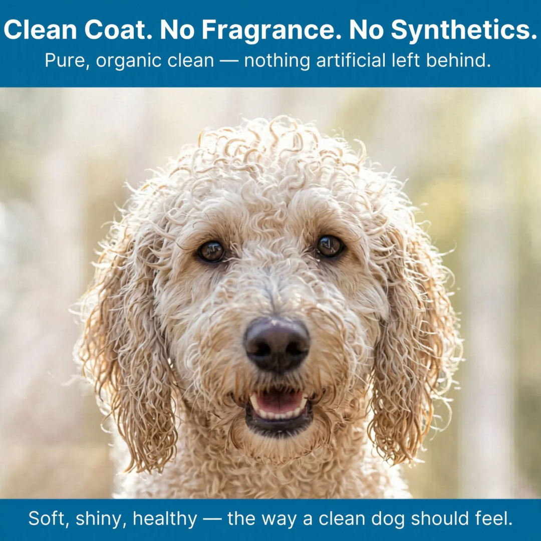 4-Legger Organic Hypoallergenic Shampoo | Unscented