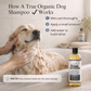 Organic Unscented Hypoallergenic Shampoo