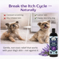 4-Legger Organic Lavender Shampoo | Itchy Skin + Hot Spot Support