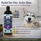 4-Legger Organic Lavender Shampoo | Itchy Skin + Hot Spot Support