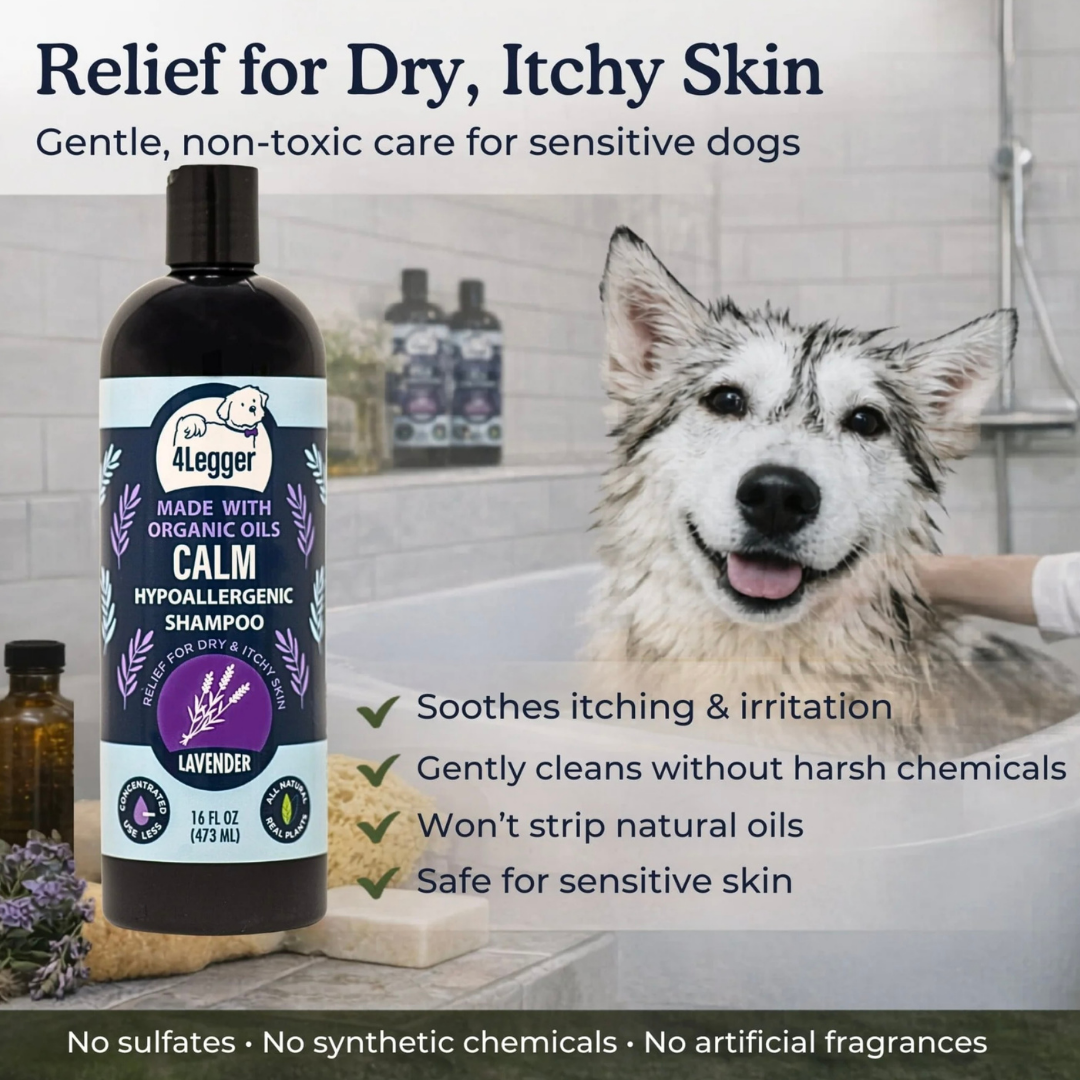 4-Legger Organic Lavender Shampoo | Itchy Skin + Hot Spot Support