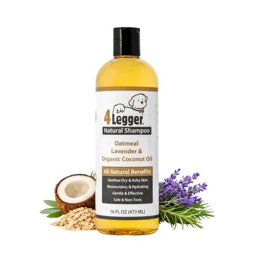 Organic Oatmeal Dog Shampoo with Aloe + Lavender