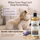 Organic Oatmeal Dog Shampoo with Aloe + Lavender