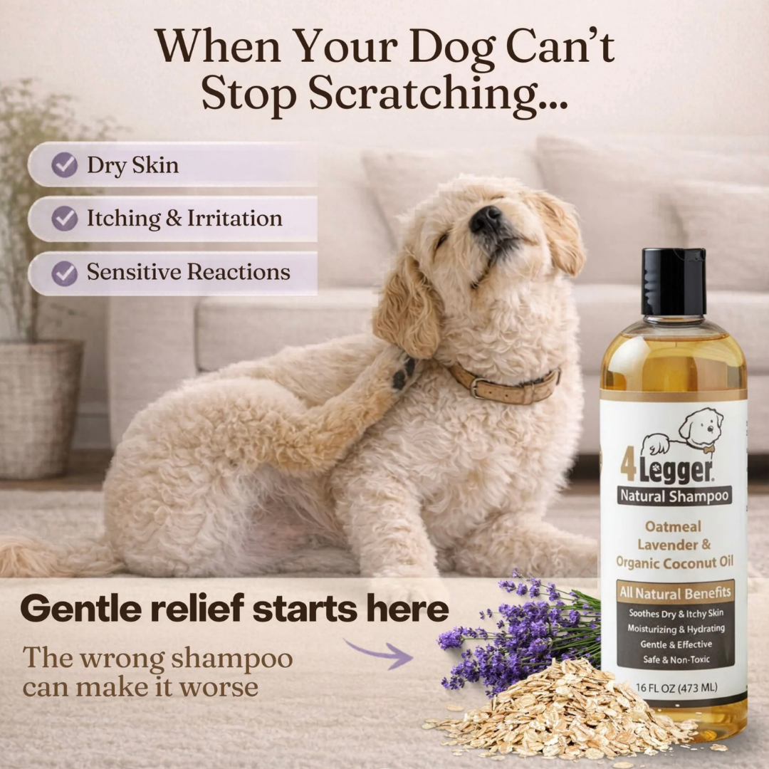 4-Legger Organic Oatmeal Shampoo | Sensitive Skin + Gentle Cleansing