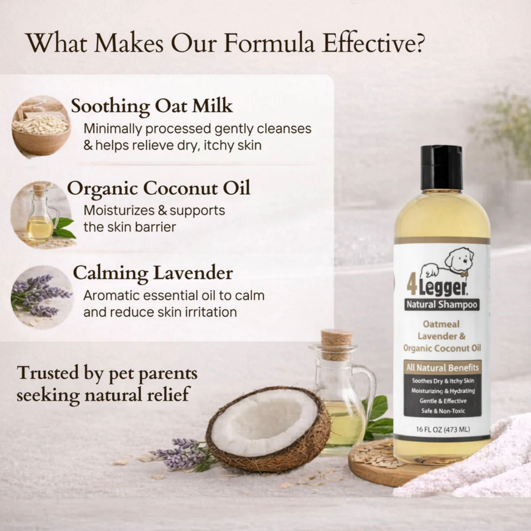 4-Legger Organic Oatmeal Shampoo | Sensitive Skin + Gentle Cleansing
