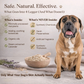 Organic Oatmeal Dog Shampoo with Aloe + Lavender