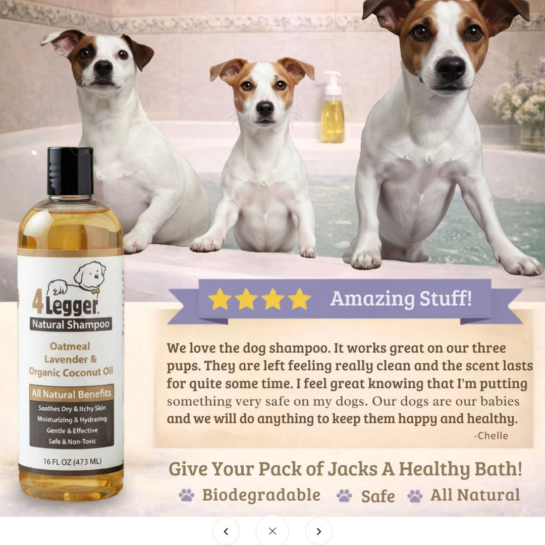 4-Legger Organic Oatmeal Shampoo | Sensitive Skin + Gentle Cleansing