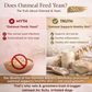 Organic Oatmeal Dog Shampoo with Aloe + Lavender