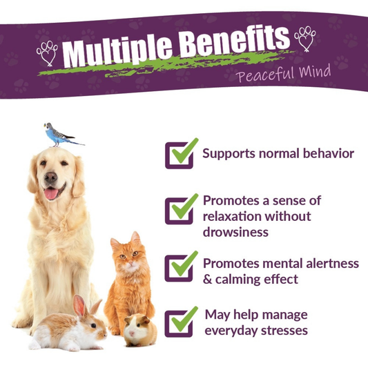Peaceful Mind | Calming Support for Stress + Anxiety