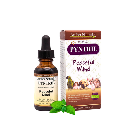 Amber Naturalz Peaceful Mind | Calming Support for Stress + Anxiety