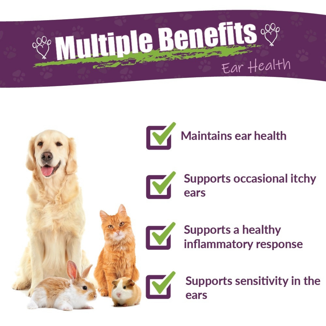 Amber Naturalz Otaxium Drops | Natural Ear Care + Itch Relief