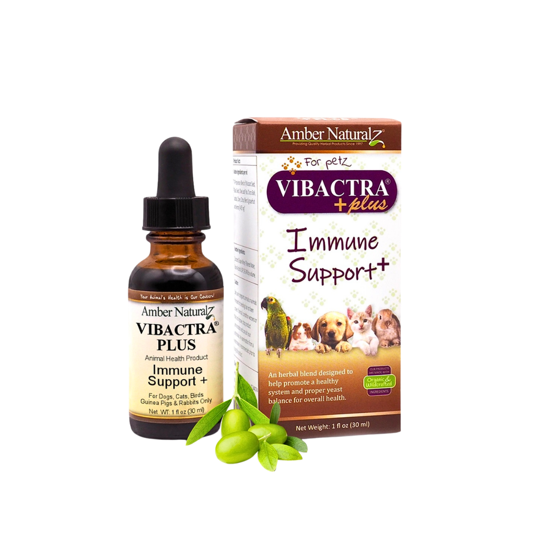 Amber Naturalz Vibactra Plus | Natural Immune Support
