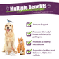 Amber Naturalz Vibactra Plus | Natural Immune Support