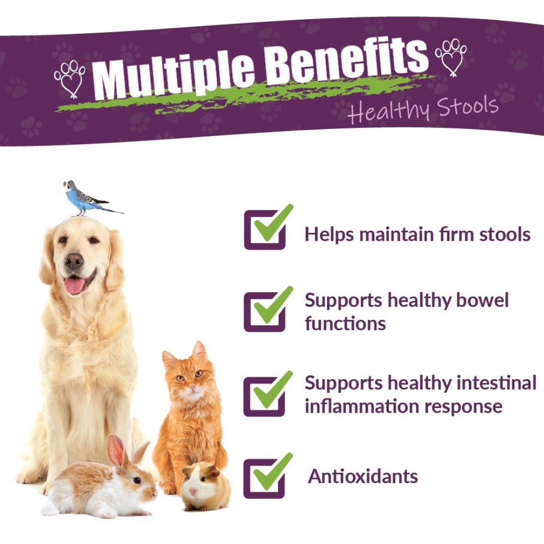 Amber Naturalz Kochi Free | Natural Support for Healthy Stools + Digestive Health