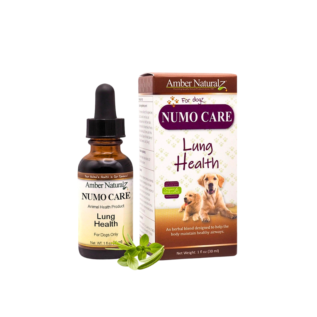 Amber Naturalz Numo Care | Lung + Respiratory Support
