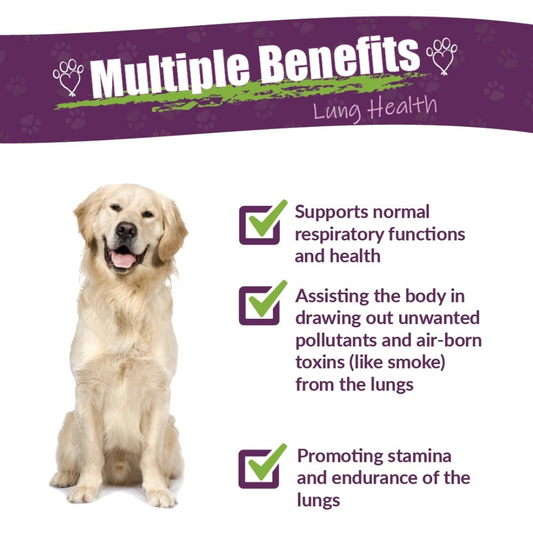 Amber Naturalz Numo Care | Lung + Respiratory Support