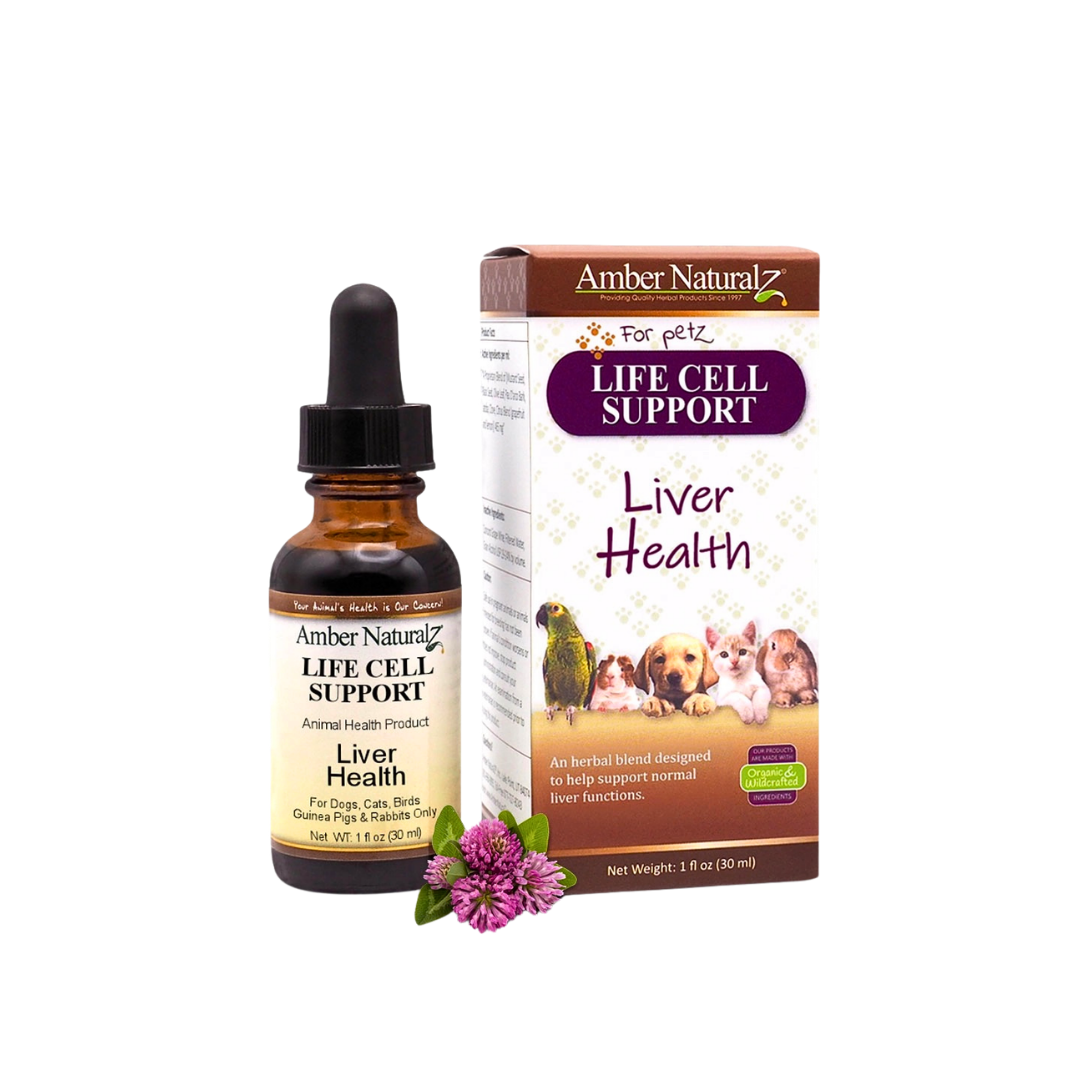 Amber Naturalz Life Cell Support | Liver Support