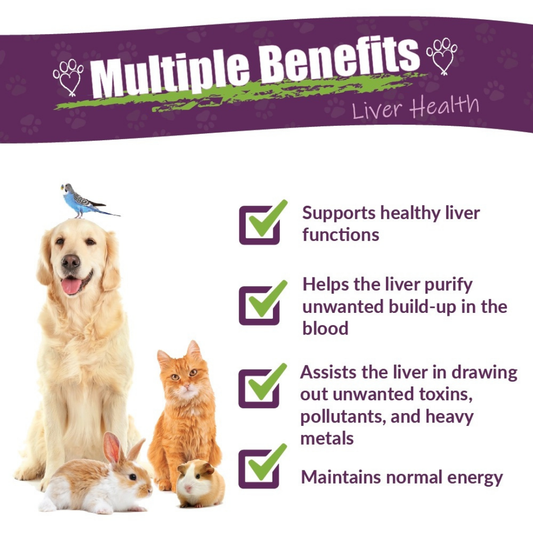 Amber Naturalz Life Cell Support | Liver Support