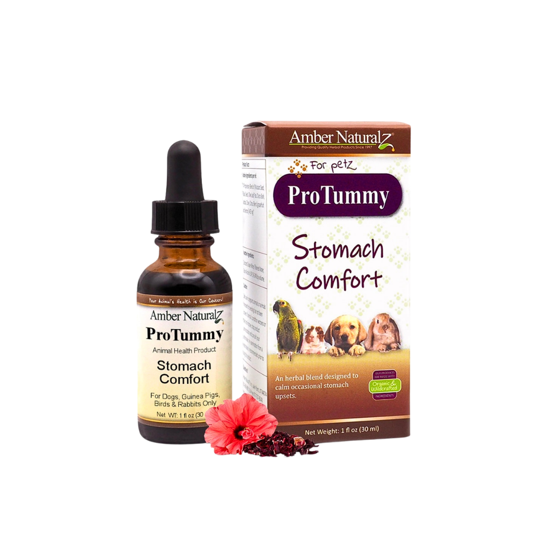 Amber Naturalz Protummy | Natural Digestive Support