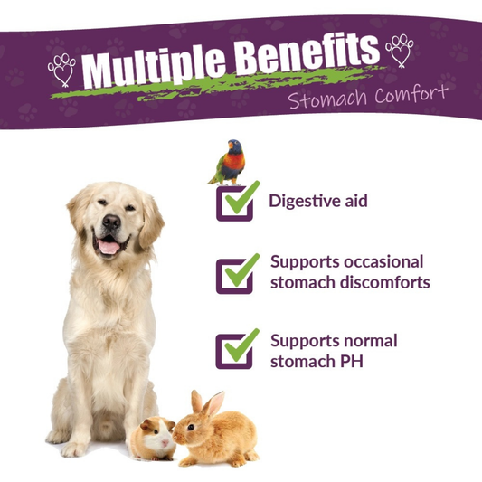 Protummy | Natural Digestive Support