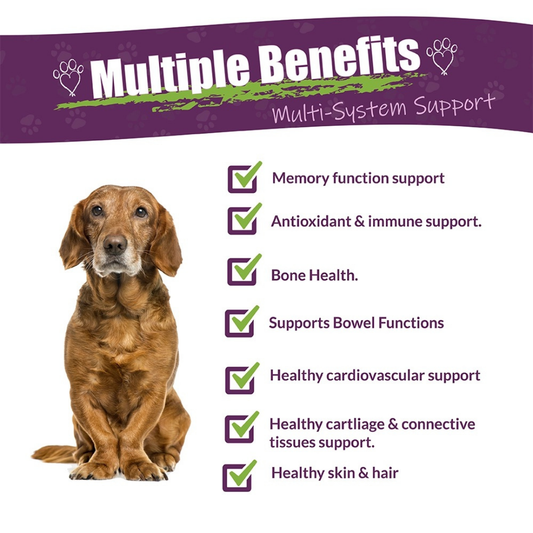 Carticil Plus | Natural Multi-System Whole-Body Antioxidant Support