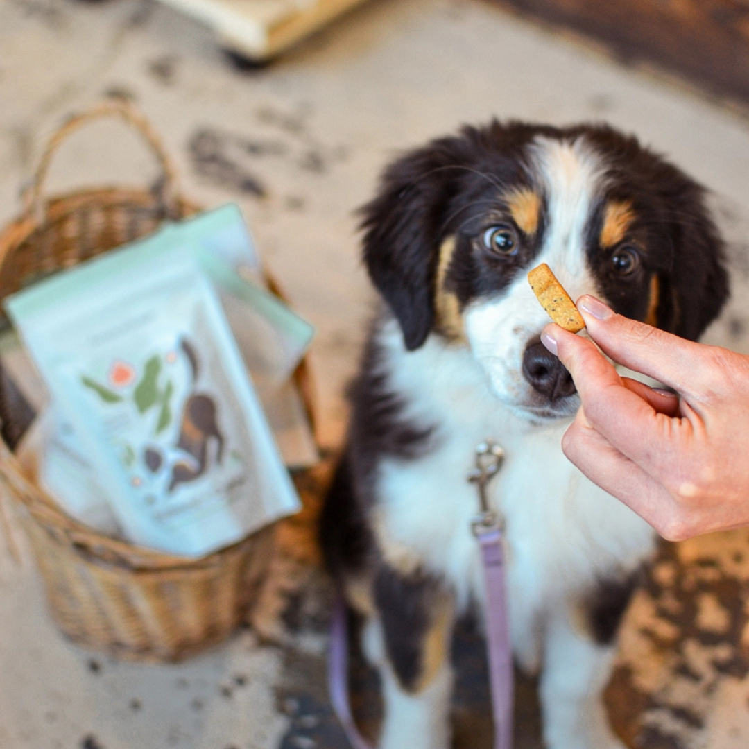 Botanical Bones | Balance + Calm