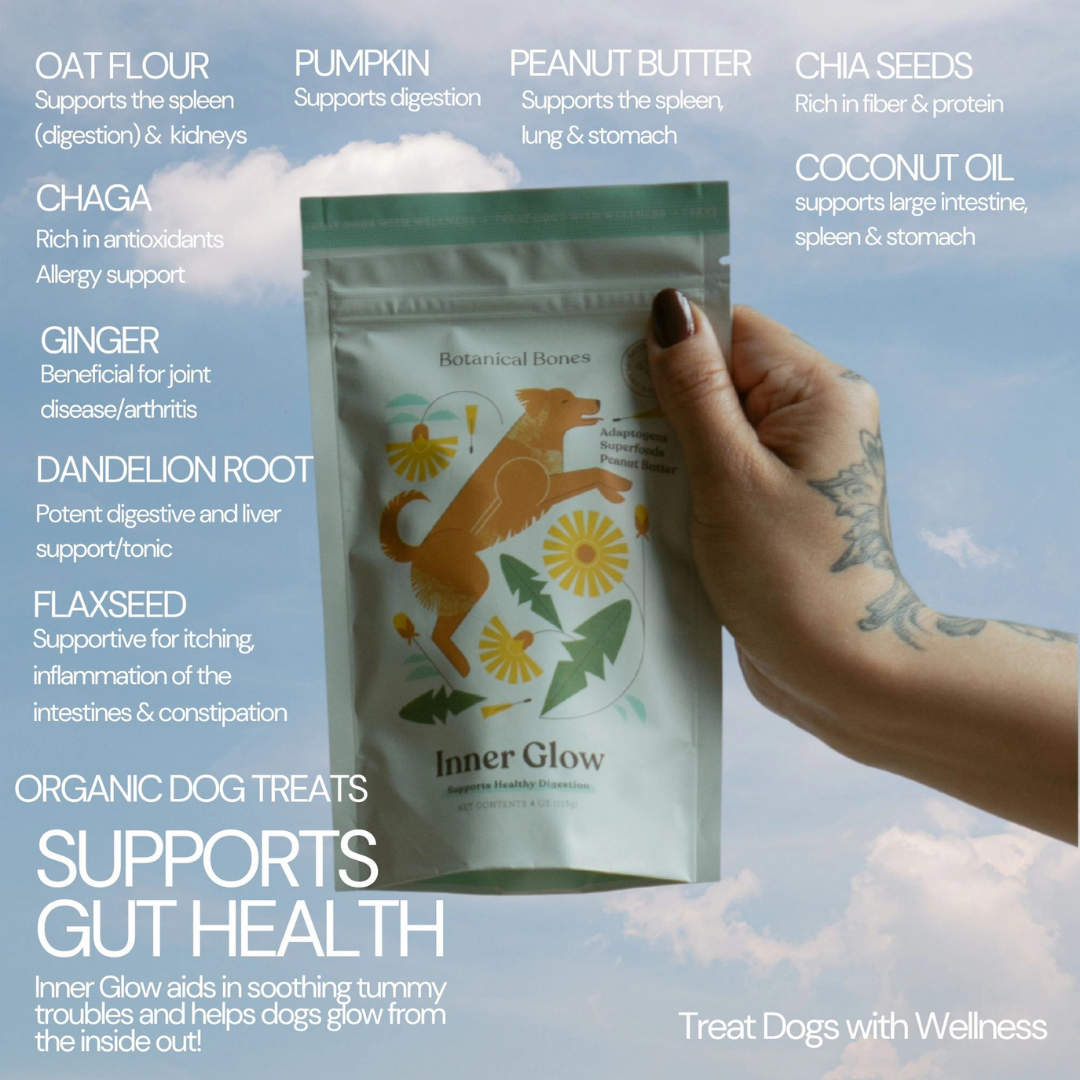 Botanical Bones Inner Glow | Healthy Digestion