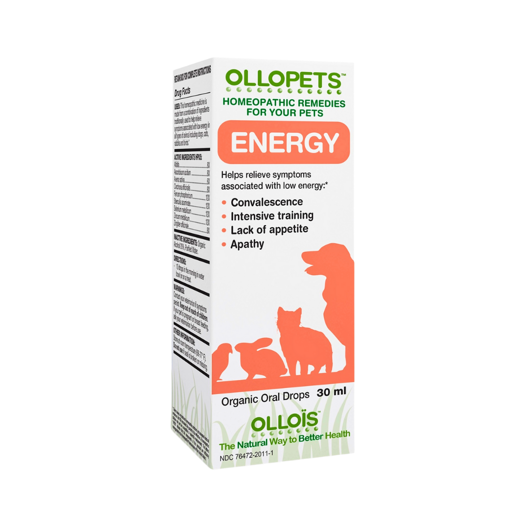 Ollopets Energy | Homeopathic Stamina + Recovery Support
