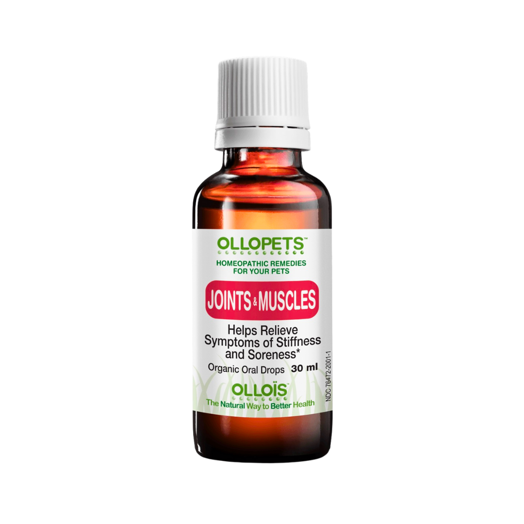Ollopets Joint | Homeopathic Joint + Mobility Support