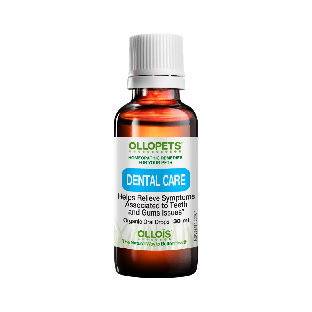 Ollopets Dental Care | Homeopathic Oral Health + Teeth Support