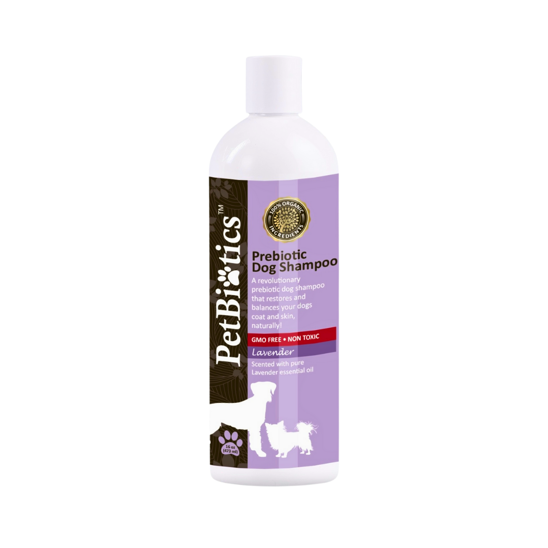 Aleavia Prebiotic Dog Shampoo | Lavender