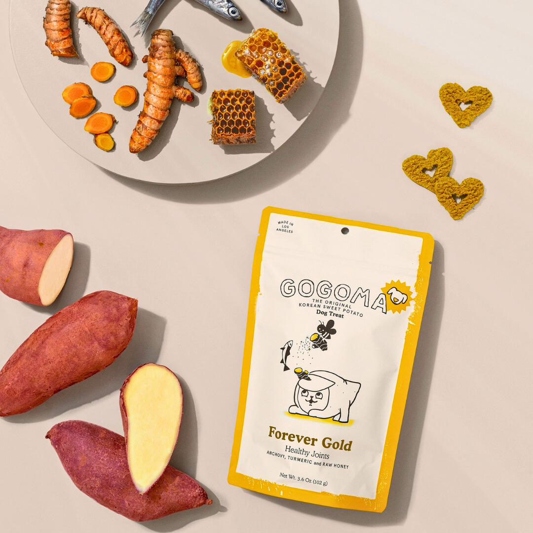 Gogoma Treats Turmeric + Anchovy | Healthy Joints