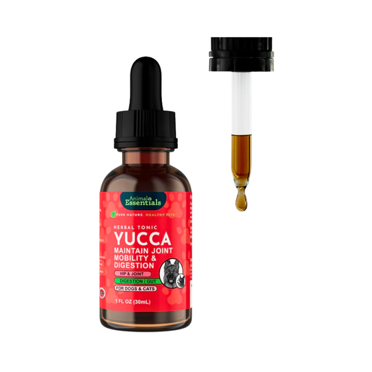 Animal Essentials Yucca | Maintain Joint Mobility + Digestion