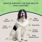 Animal Essentials Herbal Ear Wipes