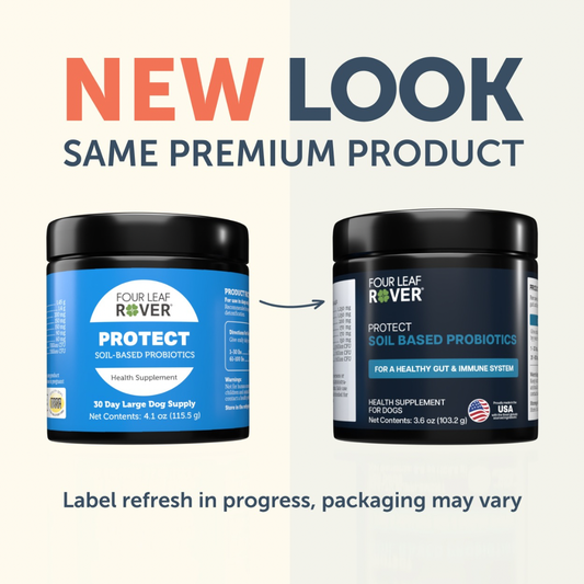 Four Leaf Rover Protect | Soil Based Probiotics + Detox Support