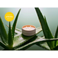 Grow Natural Candle | Cucumber Aloe
