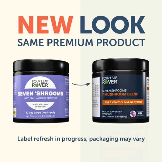 Four Leaf Rover Seven 'Shrooms | Organic Mushroom Blend for Immune Support