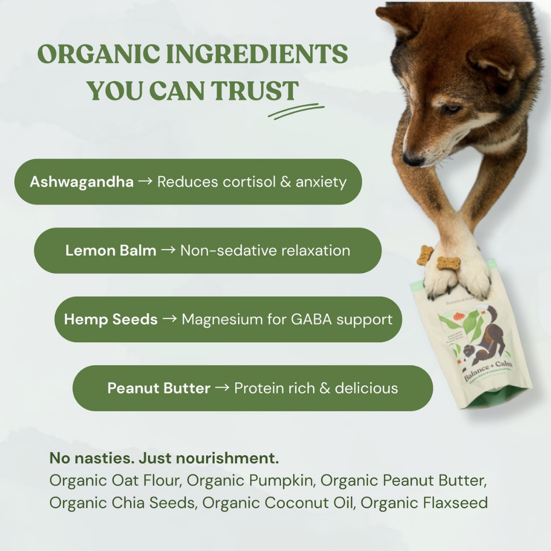 Botanical Bones | Balance + Calm