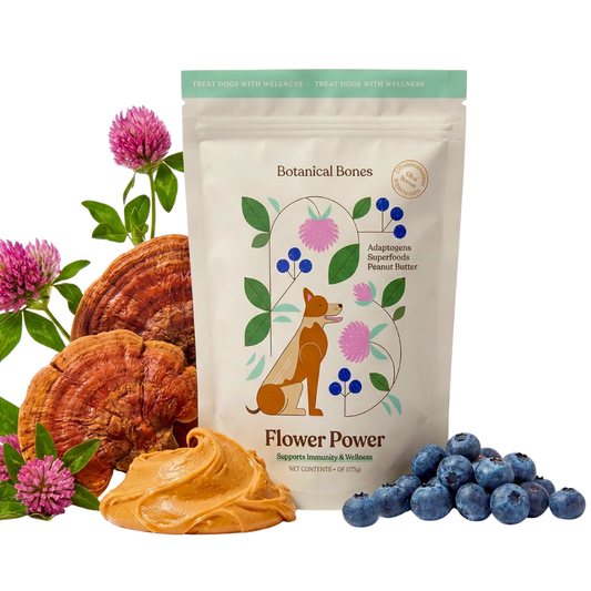 Botanical Bones Flower Power | Immunity