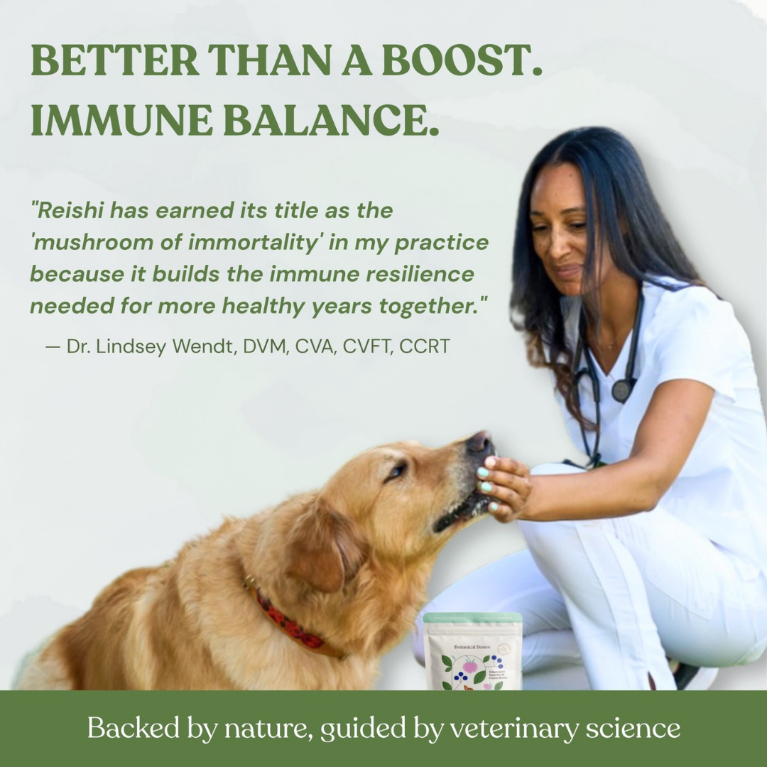 Botanical Bones Flower Power | Immunity