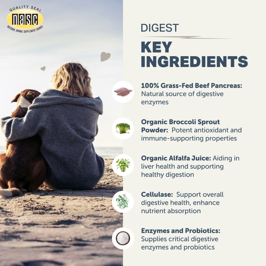 Four Leaf Rover Digest | Digestive Enzymes