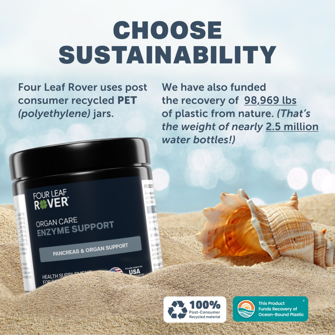 Four Leaf Rover Digest | Digestive Enzymes